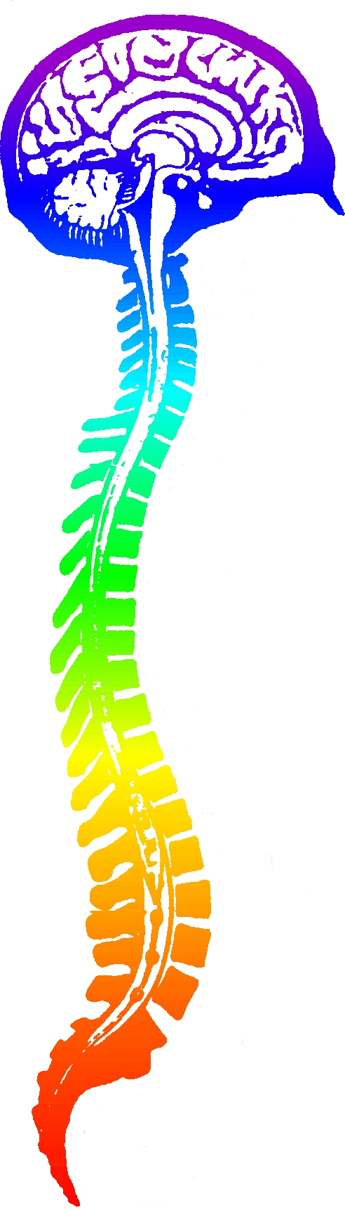 Logo WS